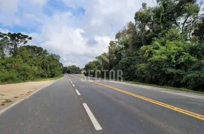 Ponto comercial à venda na Rodovia do Xisto, Restinga, Lapa