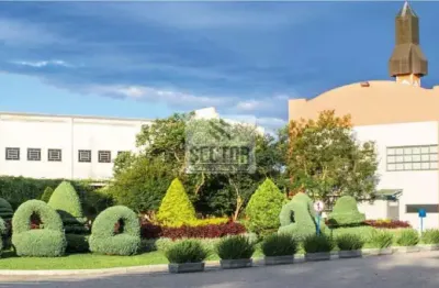 Galpão / depósito / armazém em são cristóvão  -  são josé dos pinhais