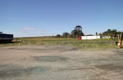 Terrenos  para locação na roseira  -  são josé dos pinhais