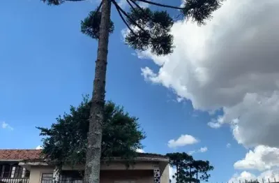 Ponto comercial com 1 sala à venda na Rua Capiberibe, Portão, Curitiba