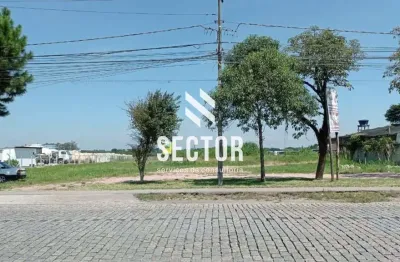 Terreno para locação em colônia murici  -  são josé dos pinhais