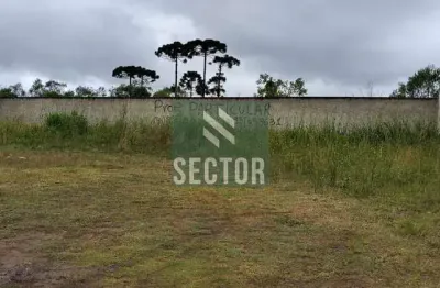 Casa comercial à venda na Av. Sen. Souza Naves, Três Marias, São José dos Pinhais