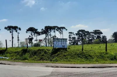 Terrenos / lotes / condomínio  em rio pequeno  -  são josé dos pinhais