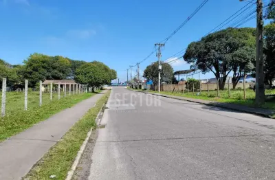 Terrenos / lotes / condomínio  em quississana  -  são josé dos pinhais