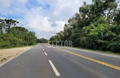 Casa comercial à venda na Rodovia do Xisto, Mariental, Lapa