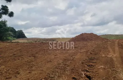 Casa comercial à venda na Rua Arnaldo Vosgerau, Quississana, São José dos Pinhais