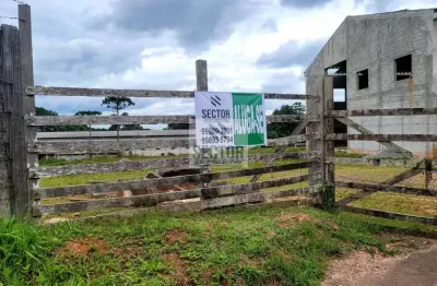 Galpão para locação no barro preto  -  são josé dos pinhais