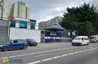 Prédio com 10 salas para alugar na Vila Amélia, São Paulo 