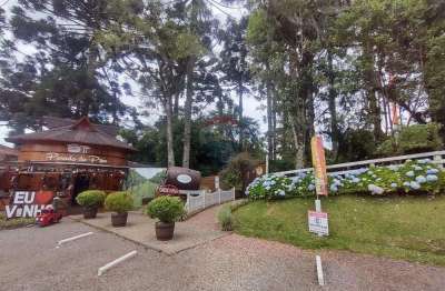 Oportunidade única: adega e pousada em localização estratégica!