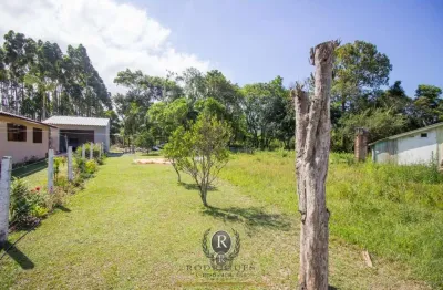 Fazenda à venda na Rodovia Br 101, Zona Rural, Dom Pedro de Alcântara