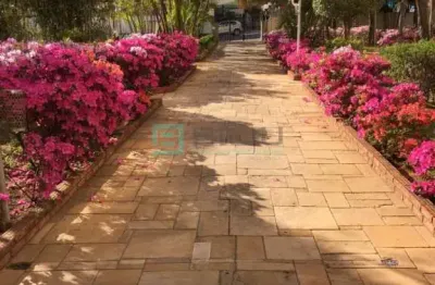 Apartamento com 3 quartos à venda na Vila Granada, São Paulo 