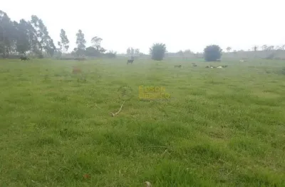 Terreno à venda no Jardim Regina (Moreira César), Pindamonhangaba 
