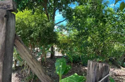 Terreno à venda, 253 m² por r$ 115.000,00 - conjunto habitacional terra dos ipês i (norte) - pindamonhangaba/sp