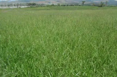 Terreno comercial à venda no Feital, Pindamonhangaba 