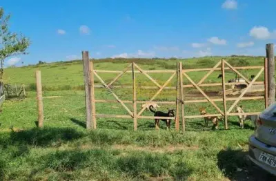 Casa com 3 quartos para alugar no Borba, Pindamonhangaba 