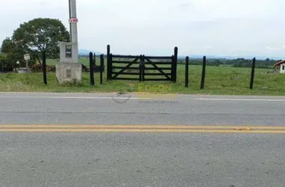 Sítio à venda, 18000 m² por r$ 550.000,00 - bom sucesso - pindamonhangaba/sp