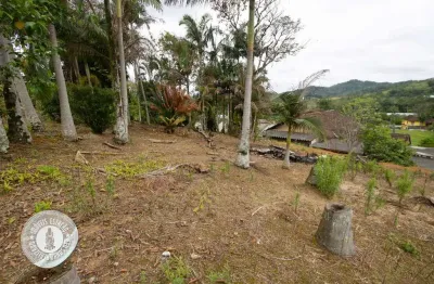 Terreno à venda no itoupava central, blumenau , 610 m2 por r$ 650.000