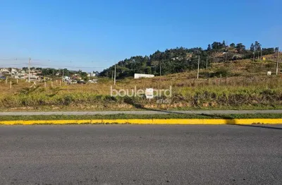 Terreno à venda na Rua Homero de Miranda Gomes, 2072, Jardim Janaina, Biguaçu