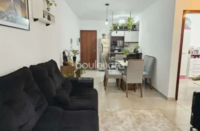 Apartamento com 2 quartos à venda na Rua Homero de Miranda Gomes, 2888, Bom Viver, Biguaçu