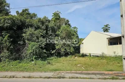 Terreno à venda na Rua João Francisco Barcelos Júnior, Bela Vista, Palhoça