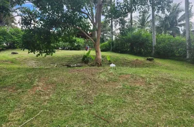 Terreno à venda na Rua Não Informado, 10, Sul do Rio, Santo Amaro da Imperatriz