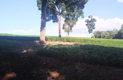 Chácara / sítio com 1 quarto à venda na Rua Antonio Rasteiro Filho, 000, Parque Industrial José Garcia Gimenes, Cambé