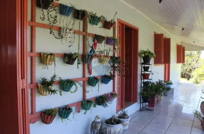 Chácara / sítio com 3 quartos à venda na Vila Palmeira, Santo Antônio da Patrulha 