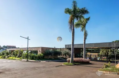 Terreno à venda, 498 m² por R$ 1.060.000,00 - Carneiros - Lajeado/RS