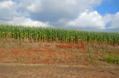 Terreno à venda, 360 m² por R$ 159.000,00 - Floresta - Lajeado/RS