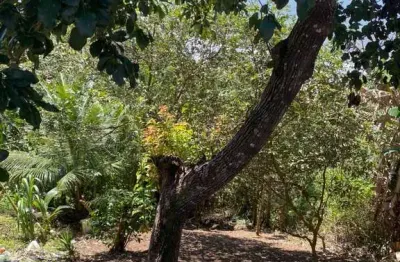 Terreno em condomínio fechado à venda na malhado, 3214, malhado, ilhéus por r$ 55.000