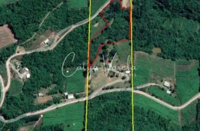 Compre na cátya varela imóveis:  terreno c0m 02 hectares estrada asfaltada - mato  perso - flores da cunha   ref: 282