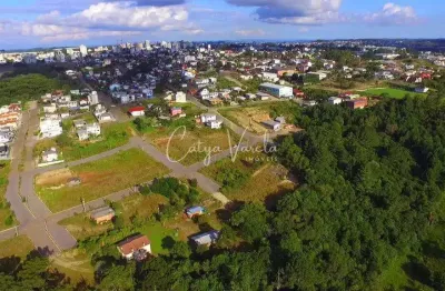 Terreno à venda na Rua Horácio Madalosso, S/N, Vicentina, Farroupilha