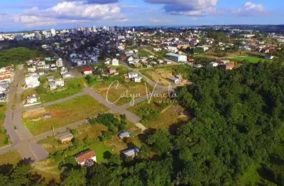Terreno à venda na Rua Horácio Madalosso, S/N, Vicentina, Farroupilha
