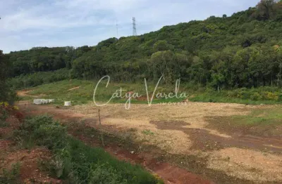 Terreno à venda na Rodovia RSC-122, -, Linha 40, Caxias do Sul