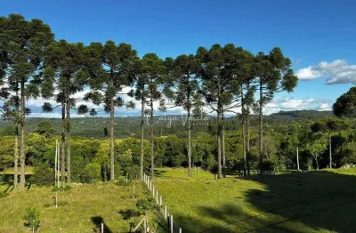 Chácara / sítio à venda na rua ismael josé rangel de castilhos, -, ana rech, caxias do sul por r$ 1.800.000