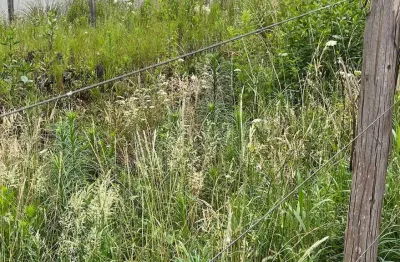 Terreno à venda na rua ernesto grazziotin, 000, sanvitto, caxias do sul por r$ 580.000