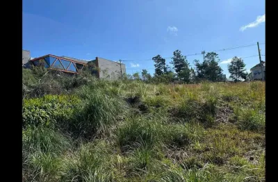 Terreno à venda na rua julia de carli paglioli, 000, são luiz, caxias do sul por r$ 225.000