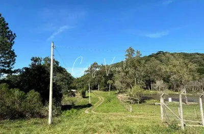 Chácara / sítio à venda na São Roque, 1, Fazenda Souza, Caxias do Sul