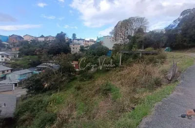 Terreno à venda na Rua Monsenhor Compagnoni, Universitário, Caxias do Sul