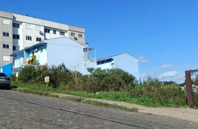Terreno à venda na Rua Jose Constant Lazarri, Lote, Cidade Nova, Caxias do Sul