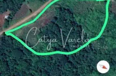 Fazenda à venda na Zona Rural, Nova Petrópolis 