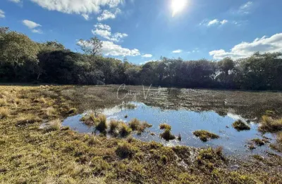 Fazenda à venda na Fazenda De Ilheus, Criúva, Caxias do Sul
