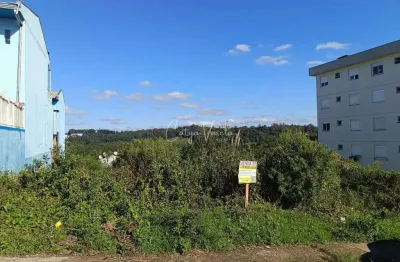 Terreno à venda na Rua Jose Constant Lazarri, Lote, Cidade Nova, Caxias do Sul