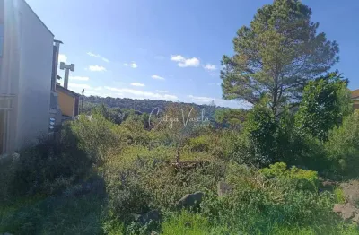 Terreno à venda na Rua Jose Constant Lazarri, Lote, Cidade Nova, Caxias do Sul