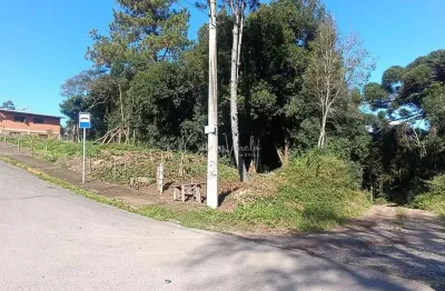 Terreno à venda na Rua Jose Constant Lazarri, Lote, Cidade Nova, Caxias do Sul