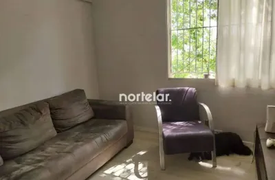 Apartamento 3 quarto 93m² a venda perto do horto florestal mandaqui