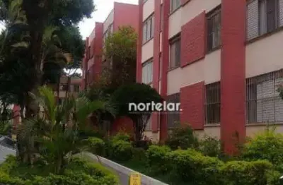 Apartamento com 2 quartos à venda, 58 m² por r$ 320.000 - vila pereira cerca - são paulo/sp