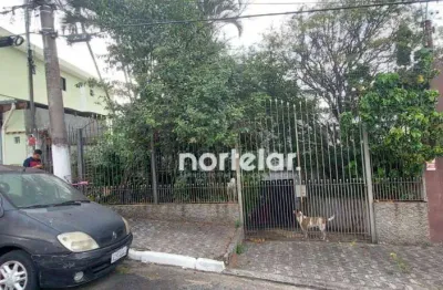 Casa com 3 quartos para alugar na Rua Professor Rivadávia de Campos, Jardim Monjolo, São Paulo