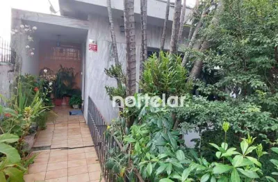 Casa com 3 quartos para alugar na Rua Professor Rivadávia de Campos, Jardim Monjolo, São Paulo