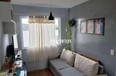 Apartamento com 1 dormitório à venda, 31 m² por r$ 240.000,00 - água branca - são paulo/sp